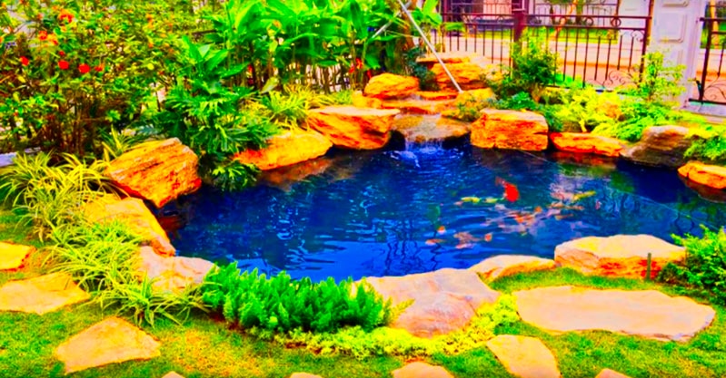 10.backyard koi pond ideas