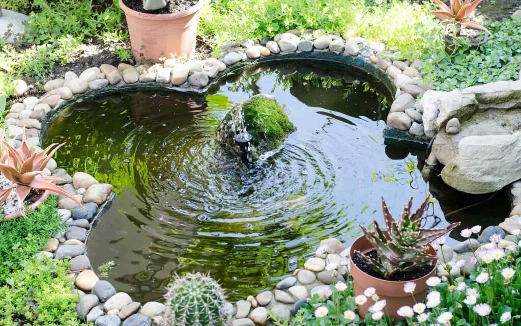 19 Inspiring Backyard Pond Ideas For A Small Budget | GearTrench