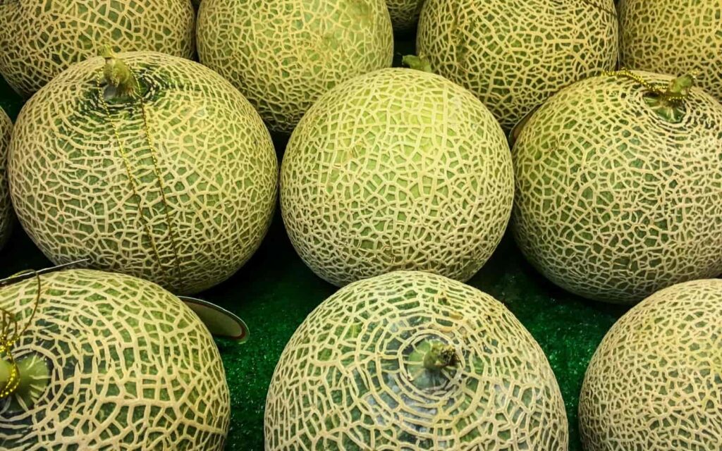 15. Honeydew Melon