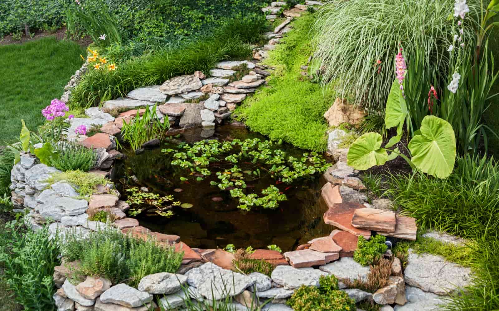 18. Simplistic Backyard Pond
