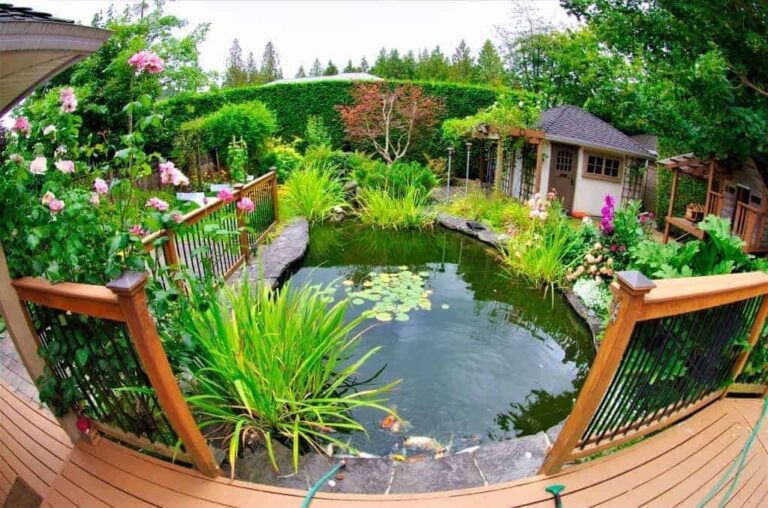 19 Inspiring Backyard Pond Ideas For A Small Budget | GearTrench