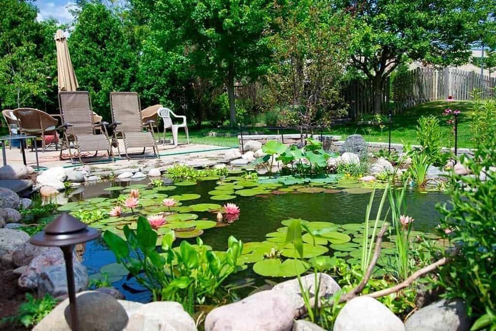 4. Lotus-for-Zen-Backyard-Pond-Idea