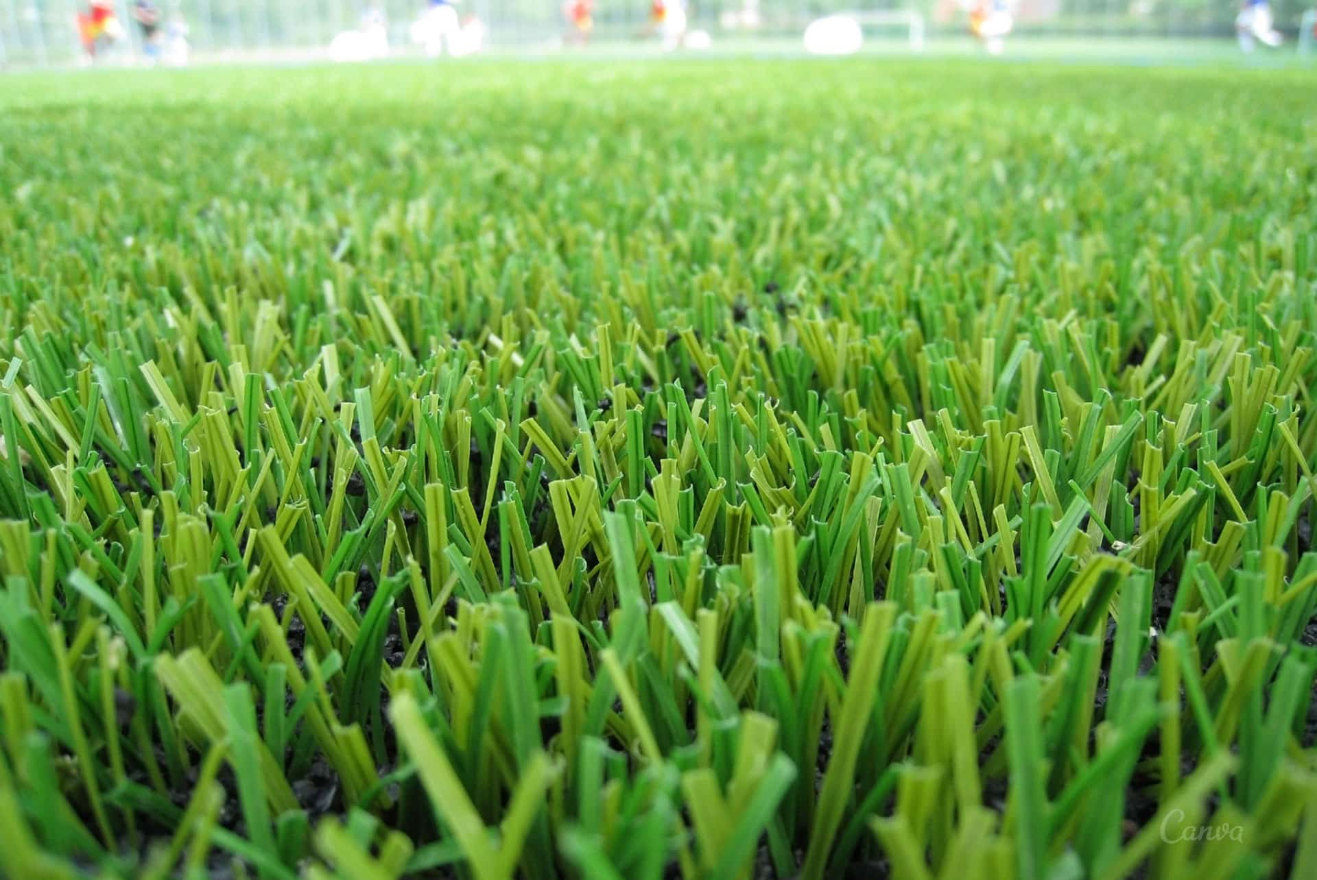 Artificial-Turf