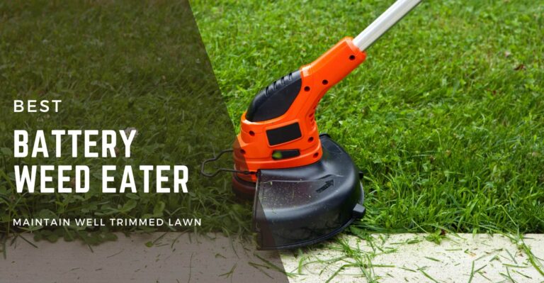5 Best Battery Powered Weed Eater in 2024: Easy Way to Maintain Your Lawn