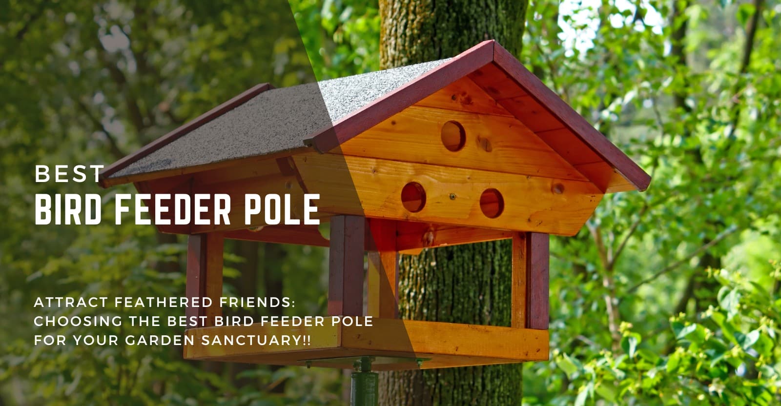 Best Bird Feeder Pole Review
