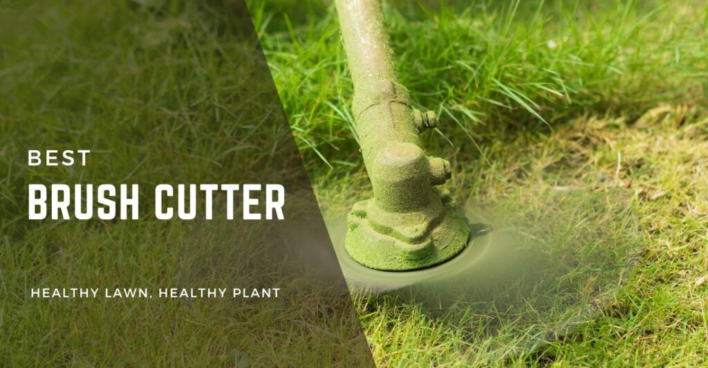 Best Brush Cutter Review