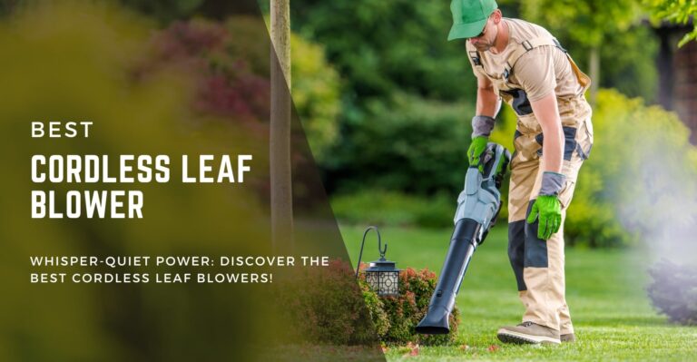 5 Best Cordless Leaf Blower in 2024: What to Know Before Buying
