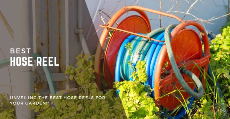 8 Best Hose Reels in 2024: Review and Buying Guide For Savvy Gardener