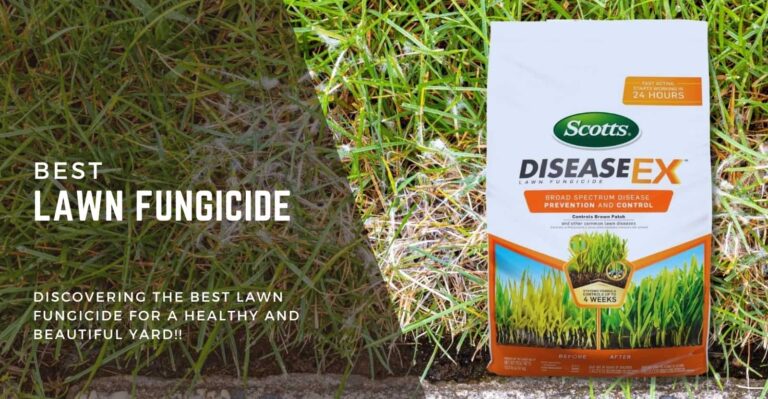 What is the Best Lawn Fungicide and How does it Work?