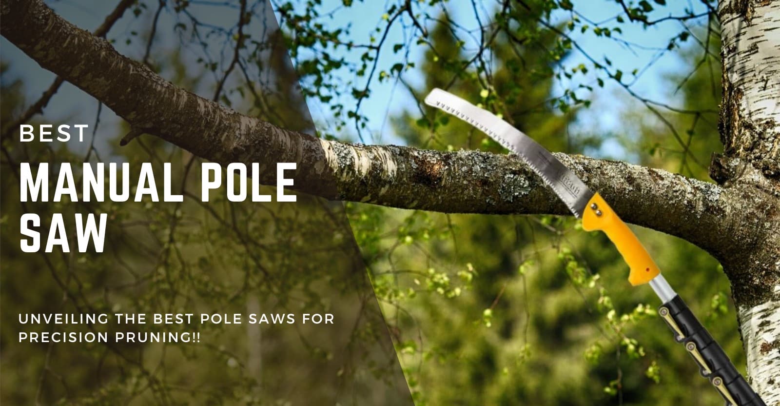 Best Manual Pole Saw Review