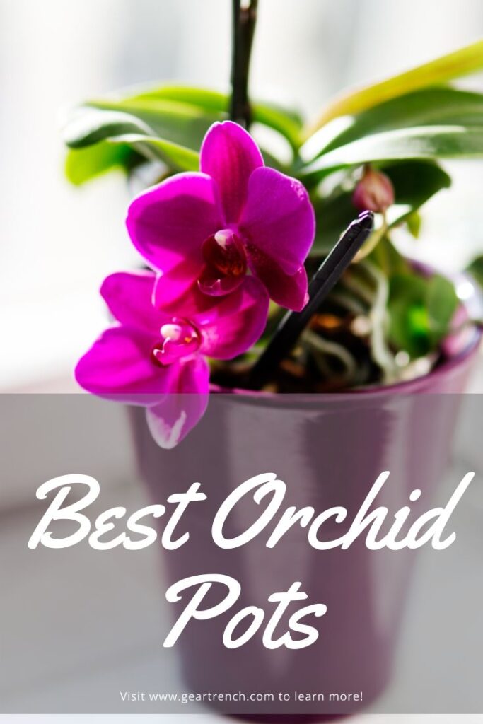 Best-Orchid-Pots-Containers