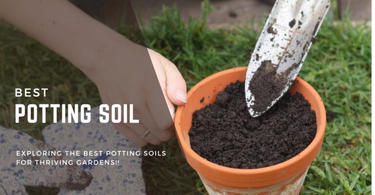 Best Potting Soil for Indoor and Outdoor Gardens in 2024 (Reviewed)
