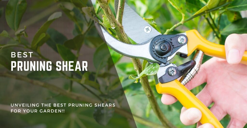 Best Pruning Shear For Garden
