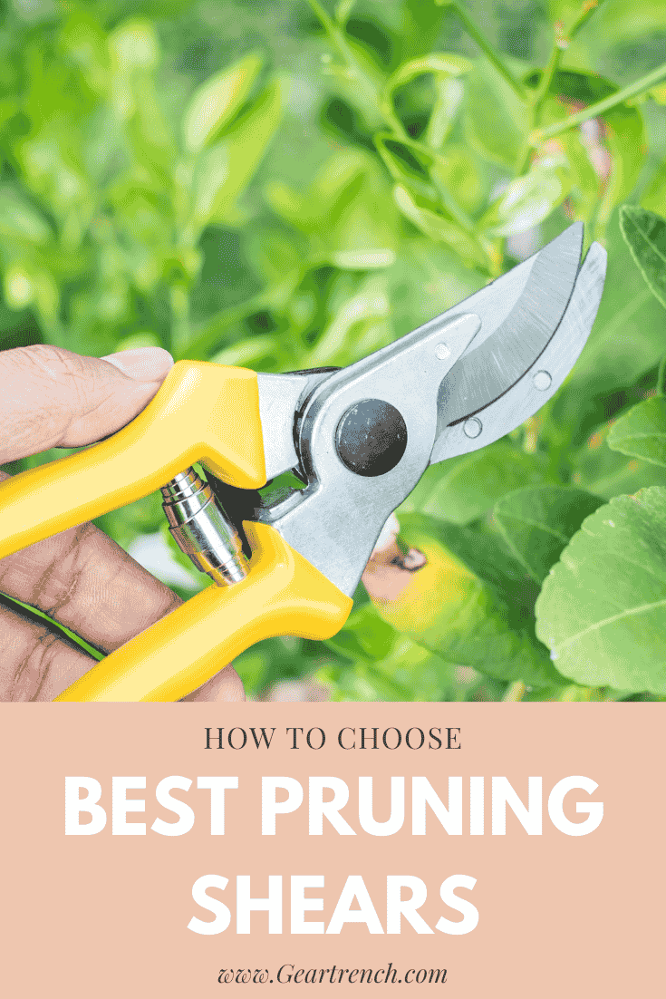 5 Best Pruning Shears For An Impressive Garden In 2026 (Review)