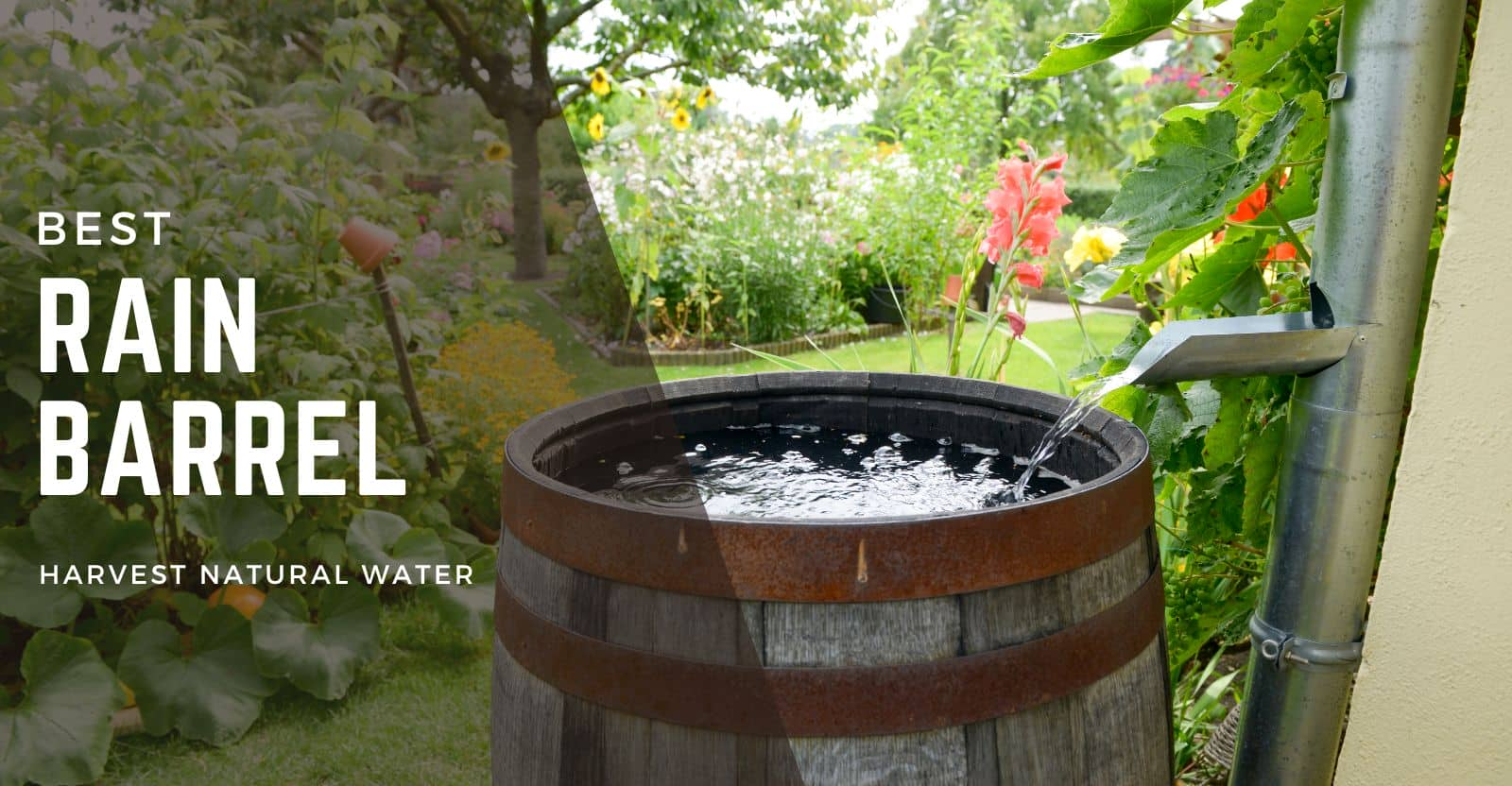 Best Rain Barrel for Home