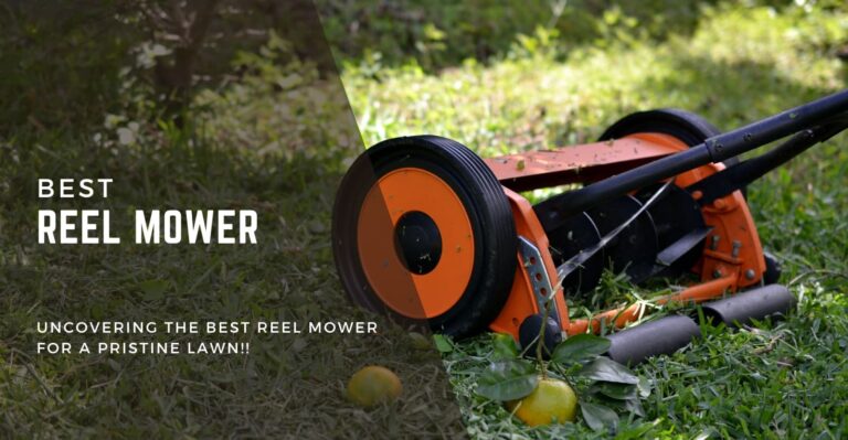 Best Reel Mower: Reviews of the Top 7 Reel Mowers in 2024