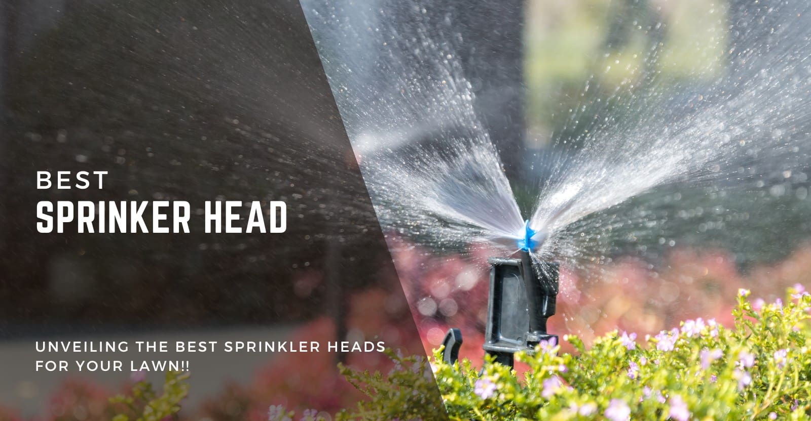Best Sprinkler Head Review