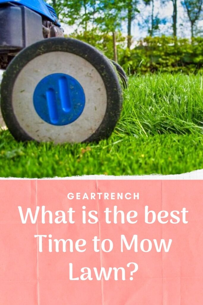 Best Time to Use Mow Grass