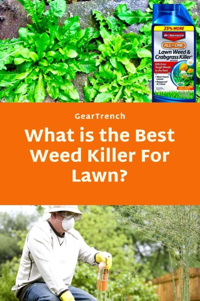 Best Weed Killer for Lawn Review
