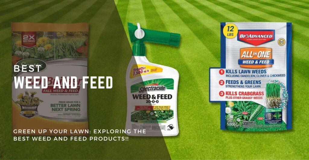 Best Weed and Feed Review