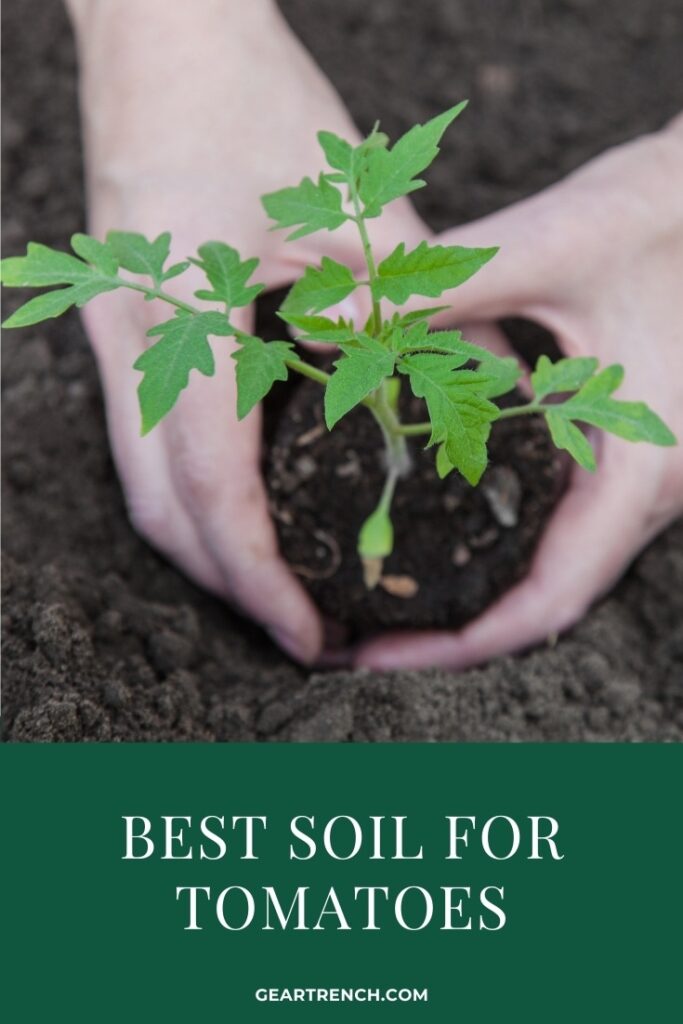 Best soil for tomatoes in Container