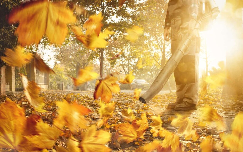 Blowing Leaf With Cordless Blower