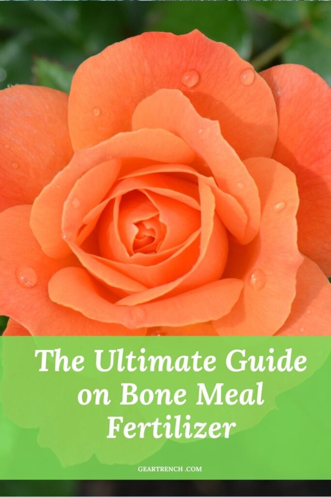 Bone Meal Fertilizer Use