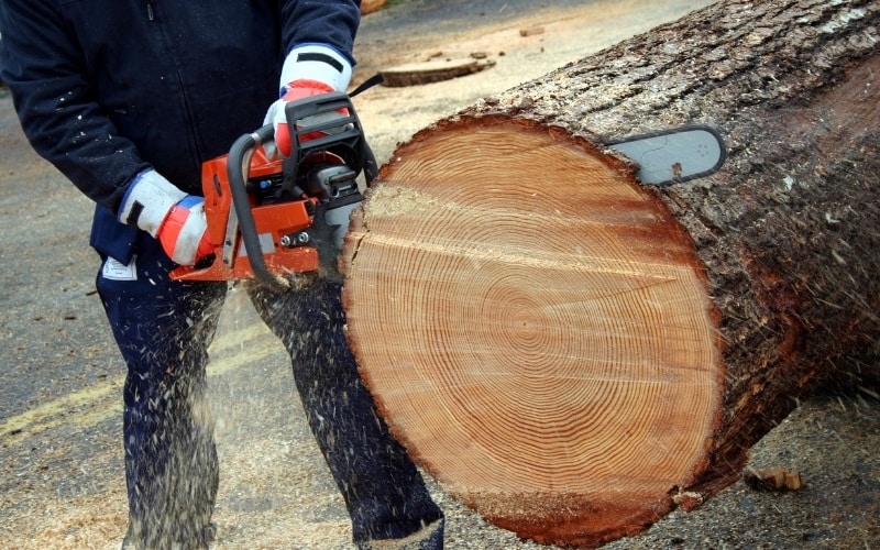 Cordless Chainsaw Cutting a wood