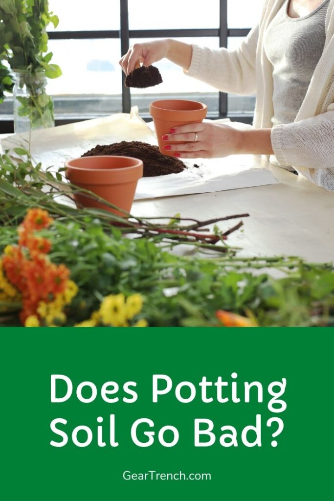 Does Bagged Potting Soil Go Bad