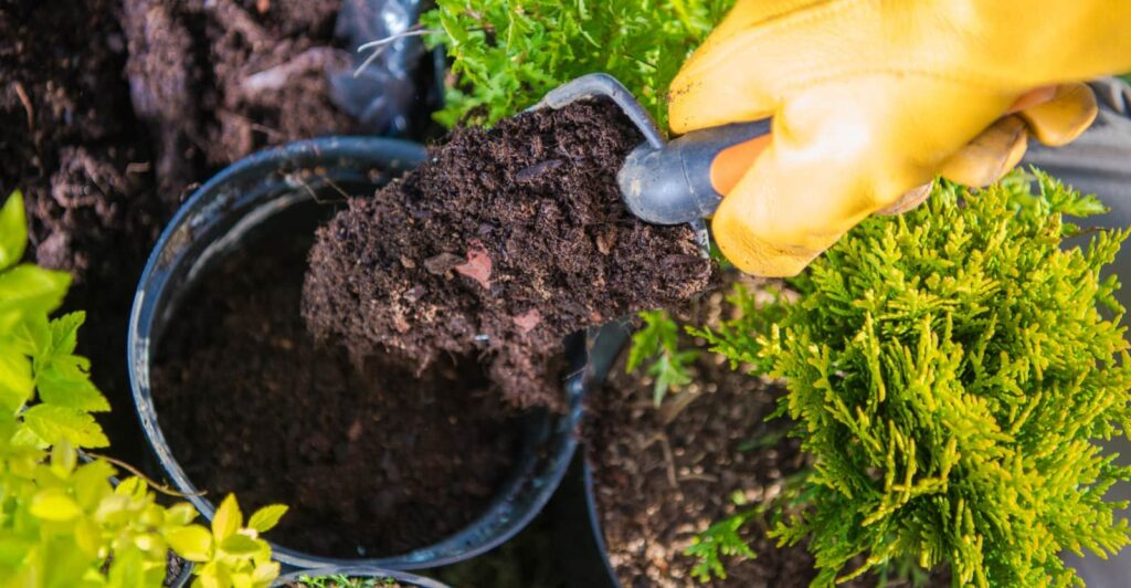 Does Potting Soil Go Bad