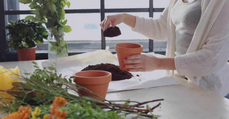 Does Potting Soil Go Bad? What You Need to Know