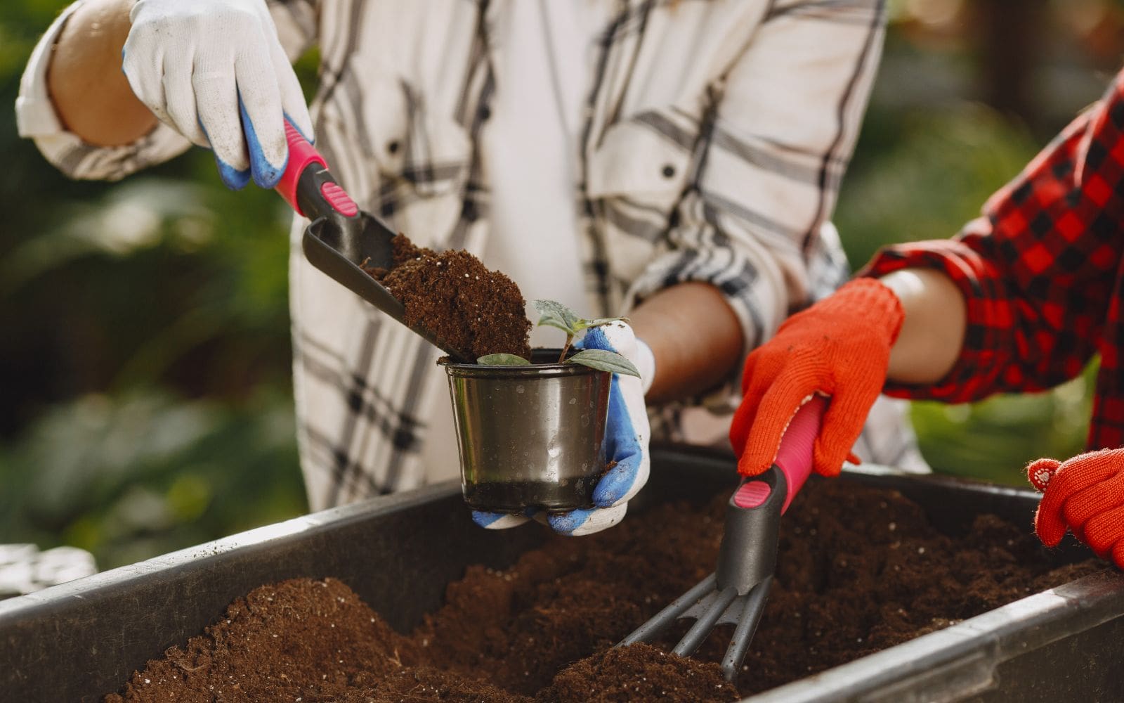 Filling Container With Potting Soil