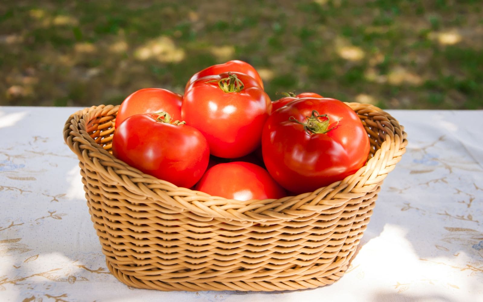 Fresh Tomatoes in Basket