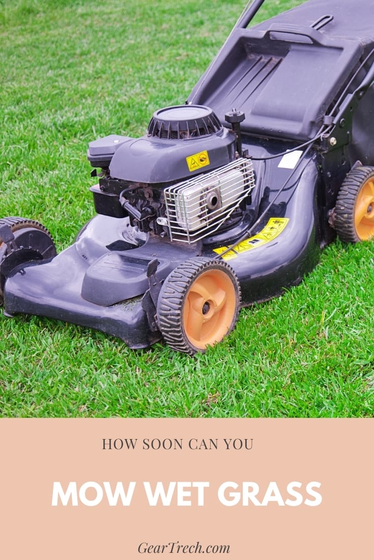 How Soon Can You Mow The Wet Grass Without Damaging It | GearTrench