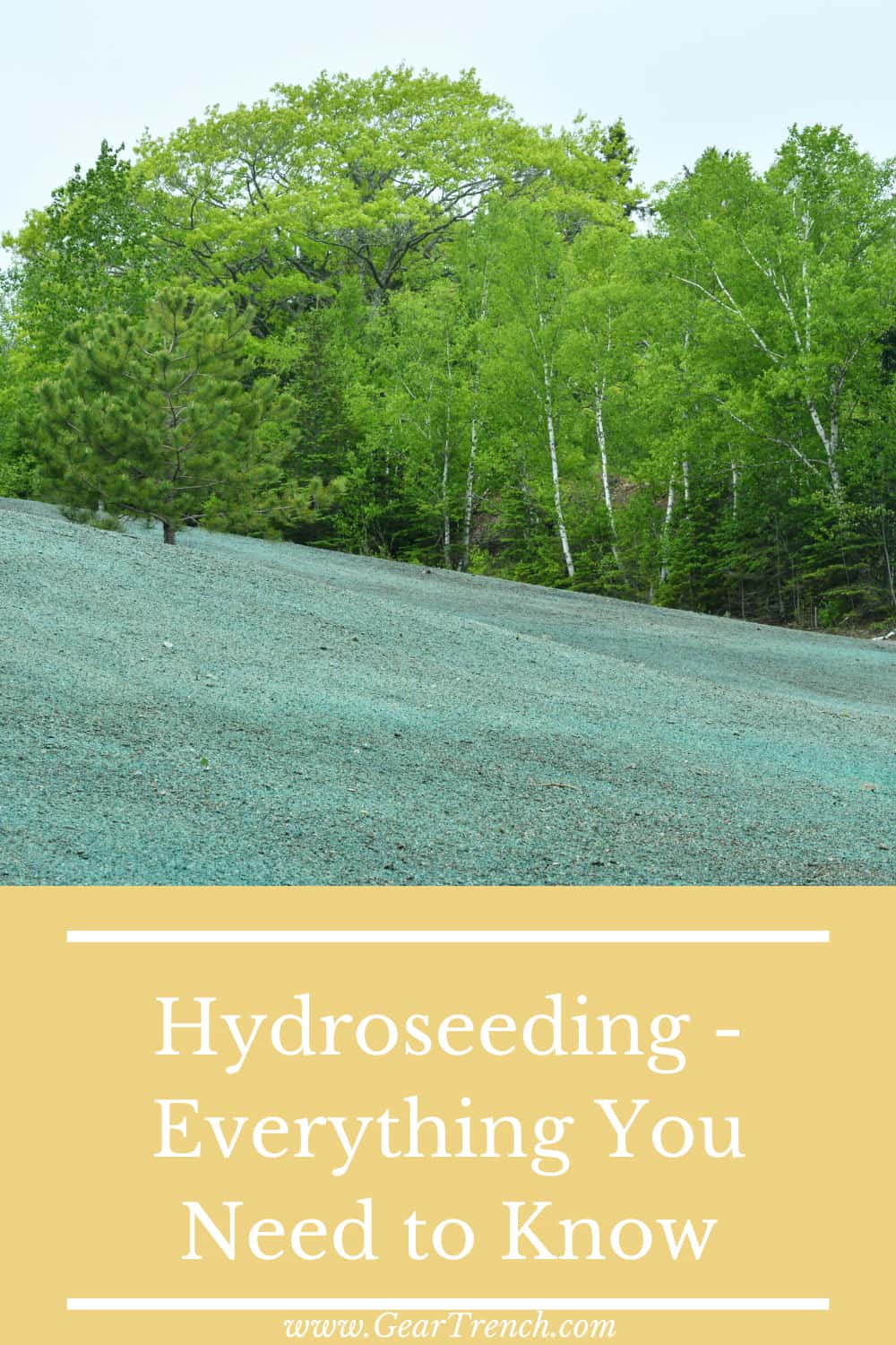 Hydroseeding Pros And Cons: Starting A Lawn From Seed