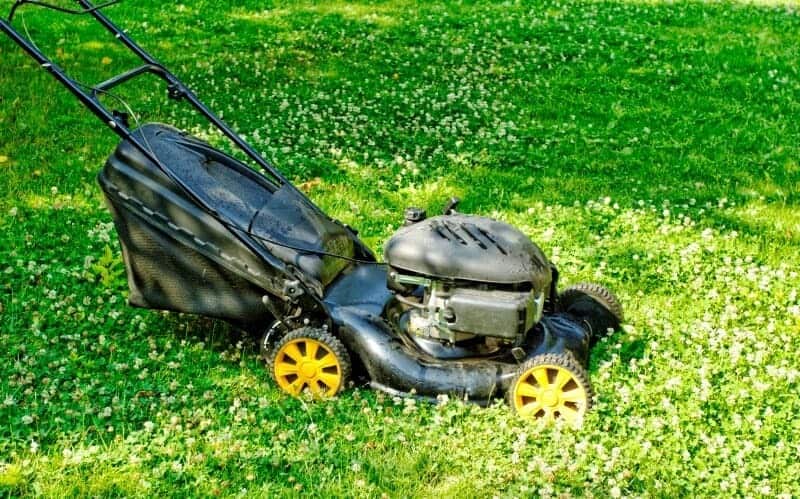 7 Lawn Mower Brands To Avoid: Which Should You Buy Instead | GearTrench