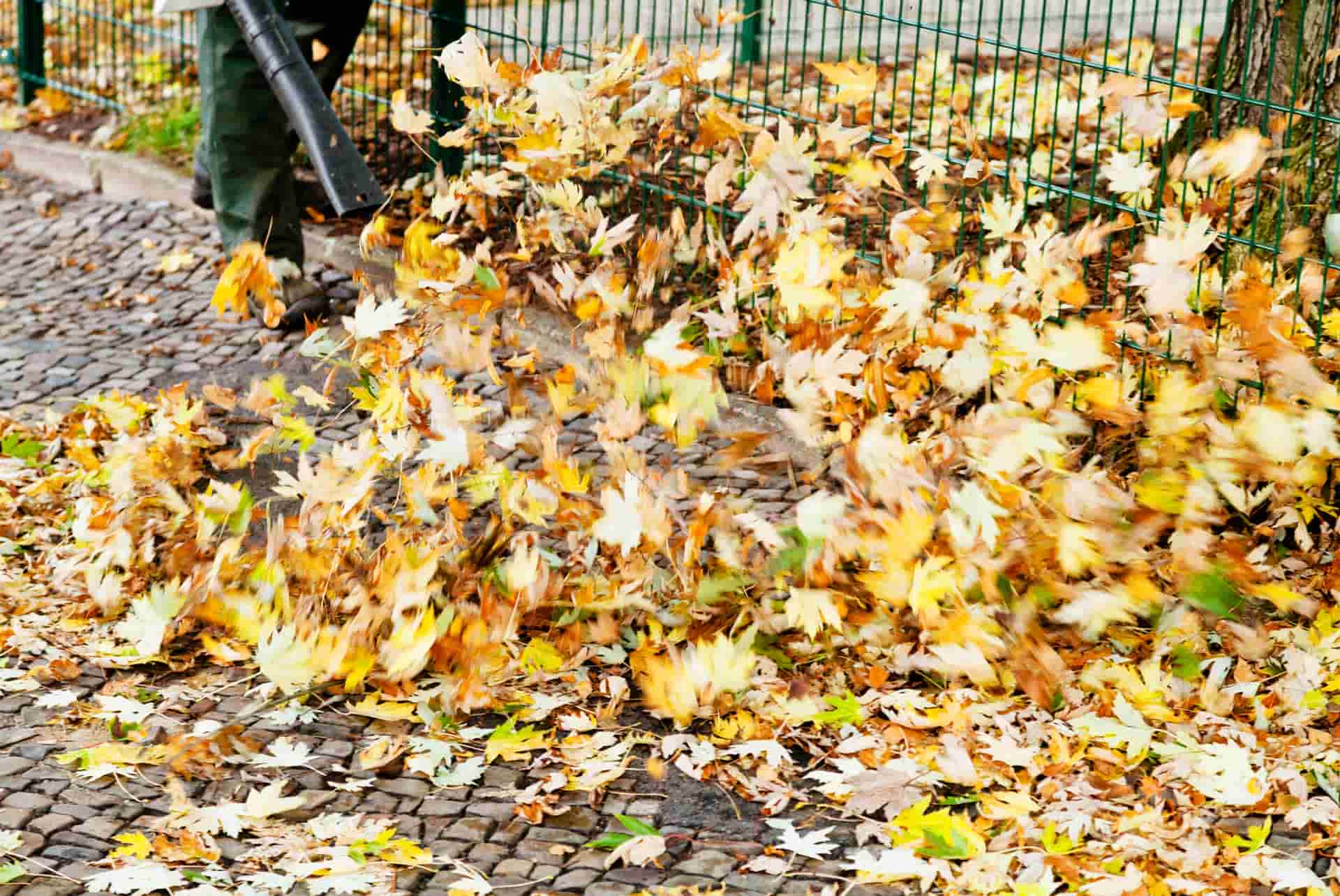 Leaf-Blower-Blowing-Leaves