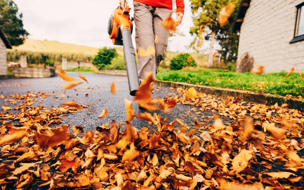 Man Blowing Leaf With Cordless Leaf Blower