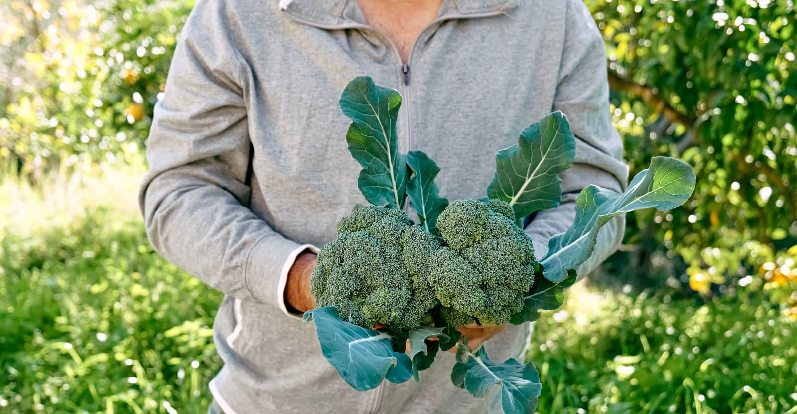 Man Holding Broccoli