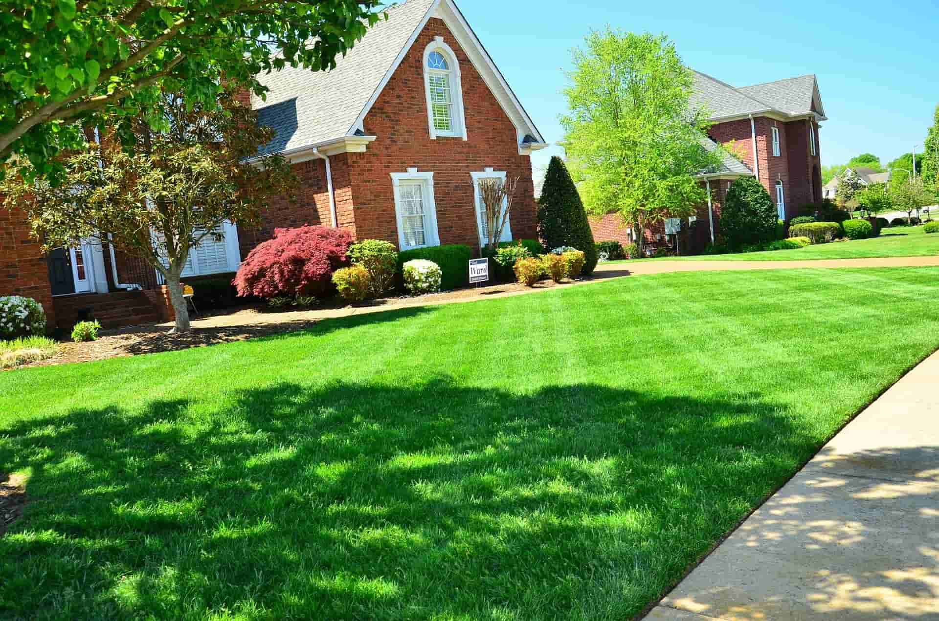 Nicely Trimmed Lawn