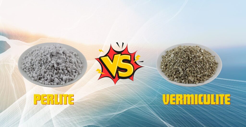 Perlite vs Vermiculite