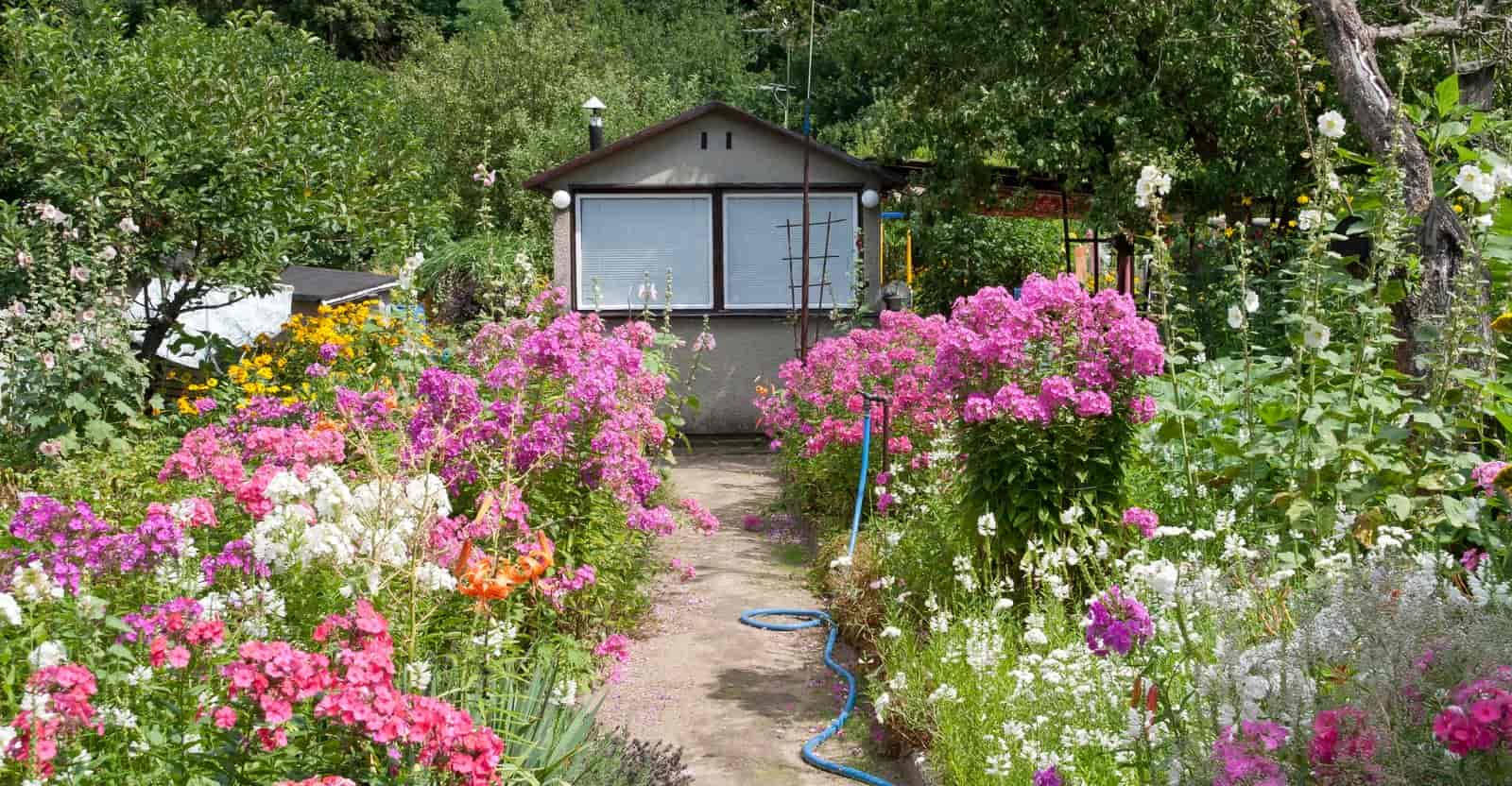 Small Cottage Garden