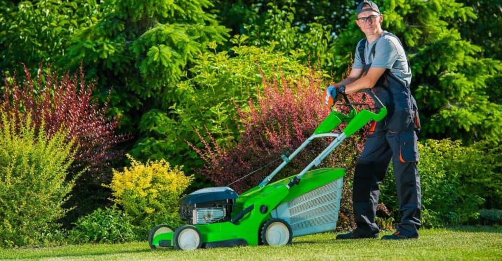 trugreen cost