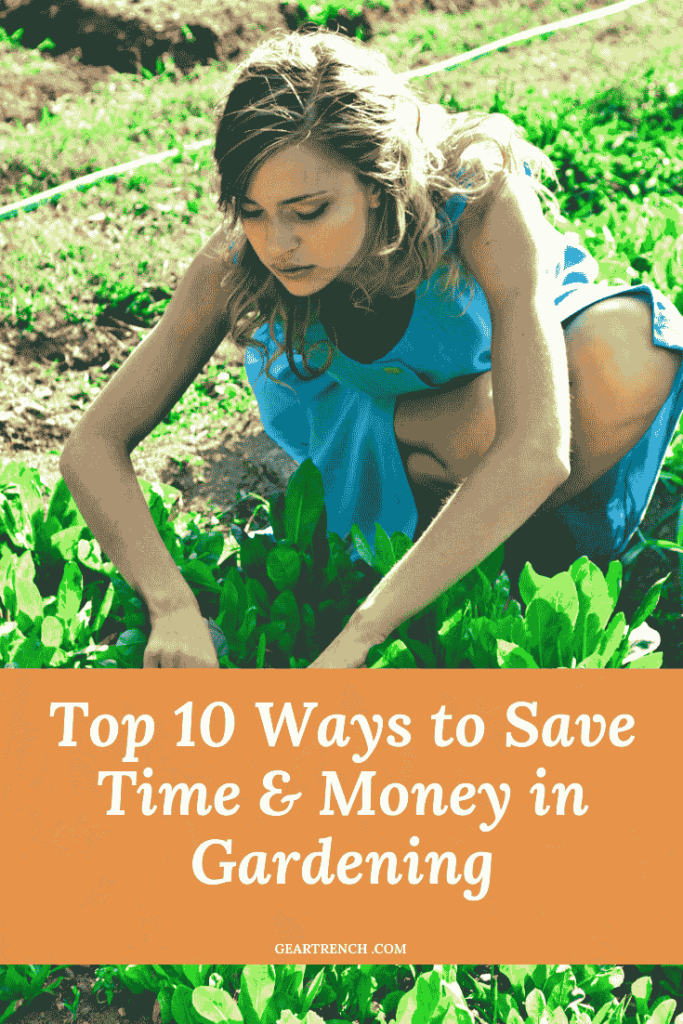 Ways to Save Time and Money in Gardening