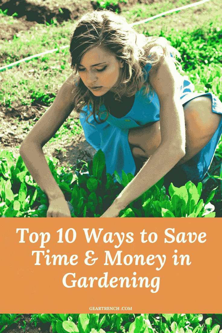 Top 10 Ways To Save Time And Money In Gardening (Easy Ways)