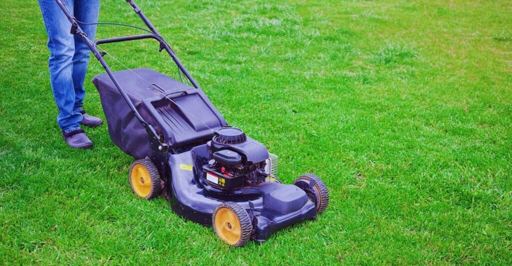 When-to-Mow-Wet-Grass - GT