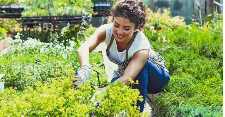 Top 10 Ways to Save Time and Money in Gardening (Easy Ways)