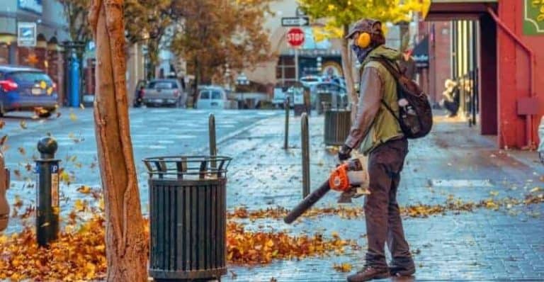 7 Best Gas Leaf Blower in 2022: Give Your Garden Some Easy Autumn Cleanup