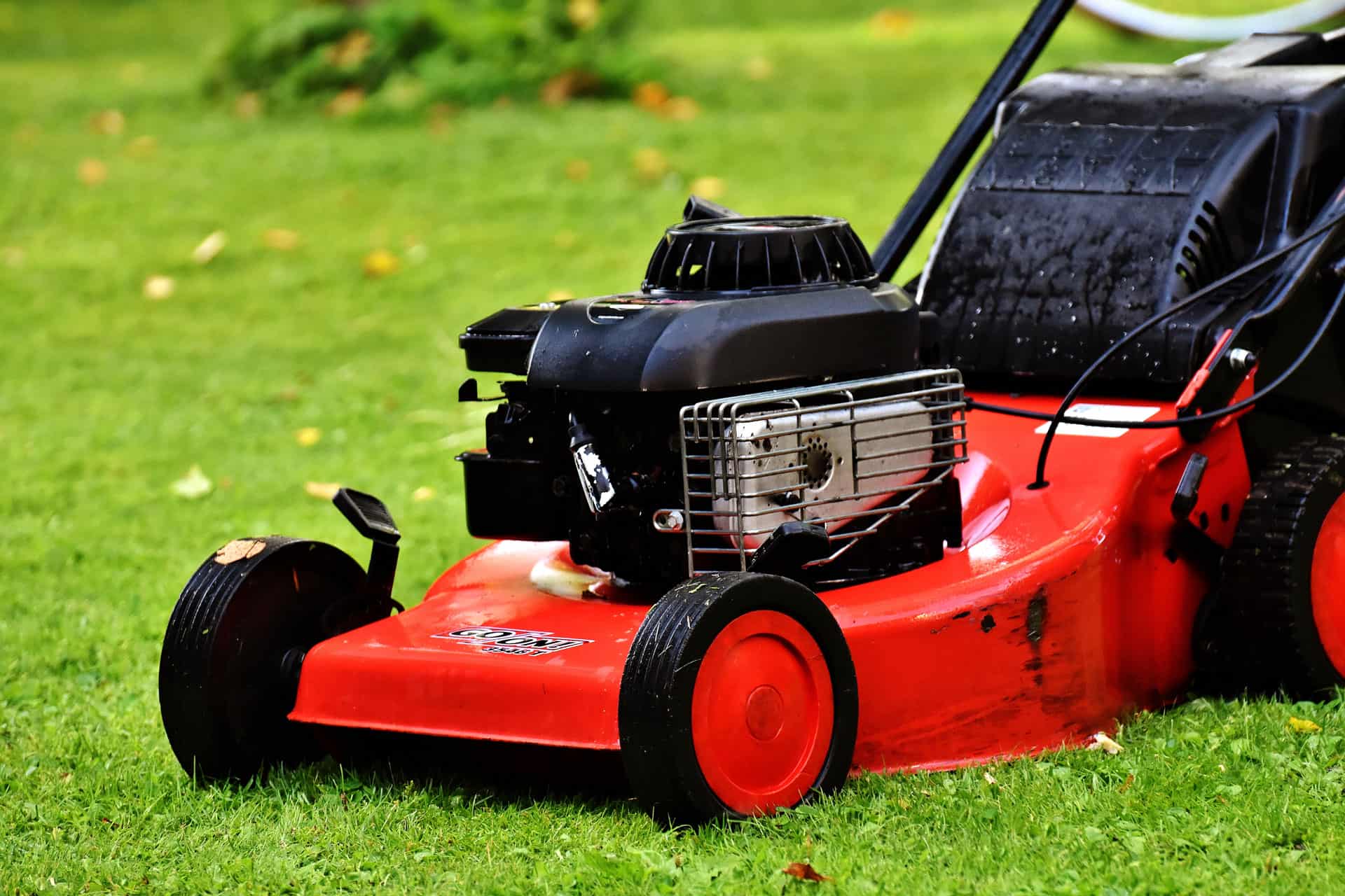 best-oil-for-lawn-mower