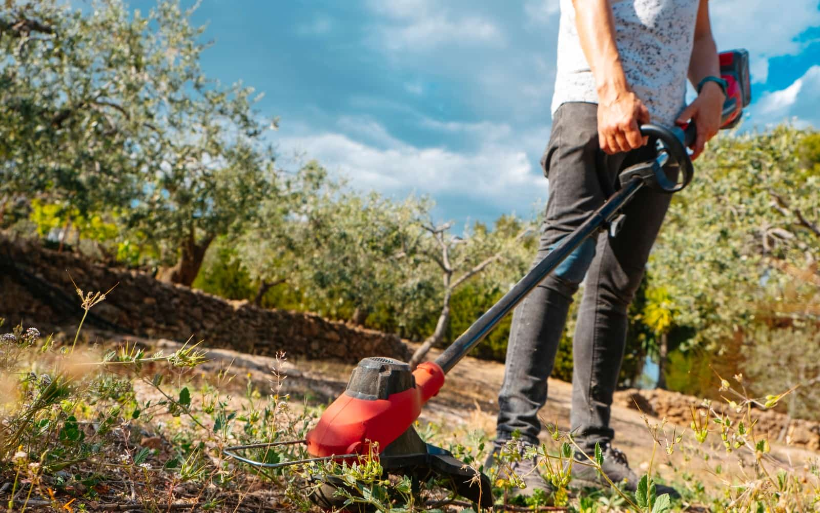 best weed eater review for garden